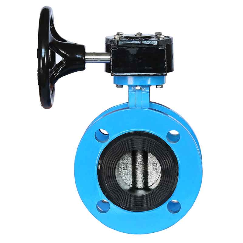 Flange Type Butterfly Valve Staliness Steel.jpg