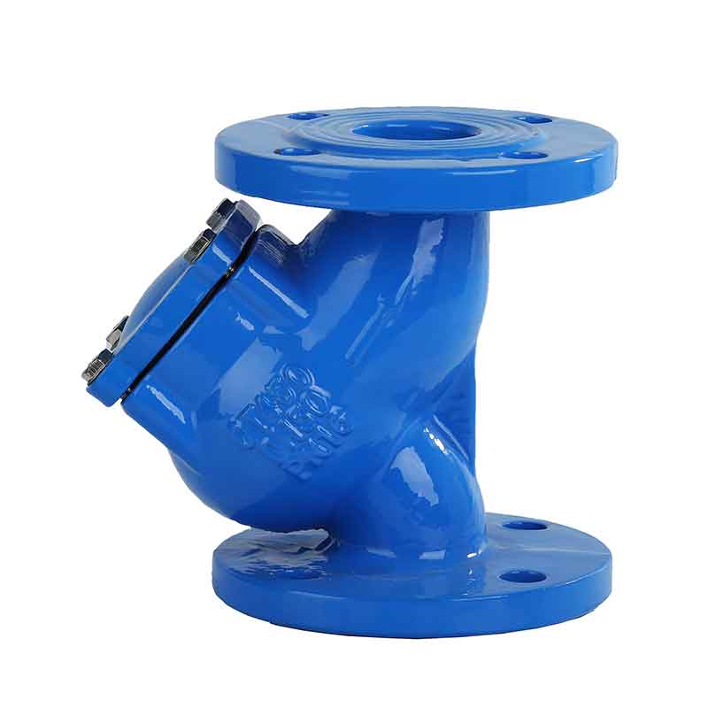 ANSI Strainer.jpg ANSI Strainer.jpg