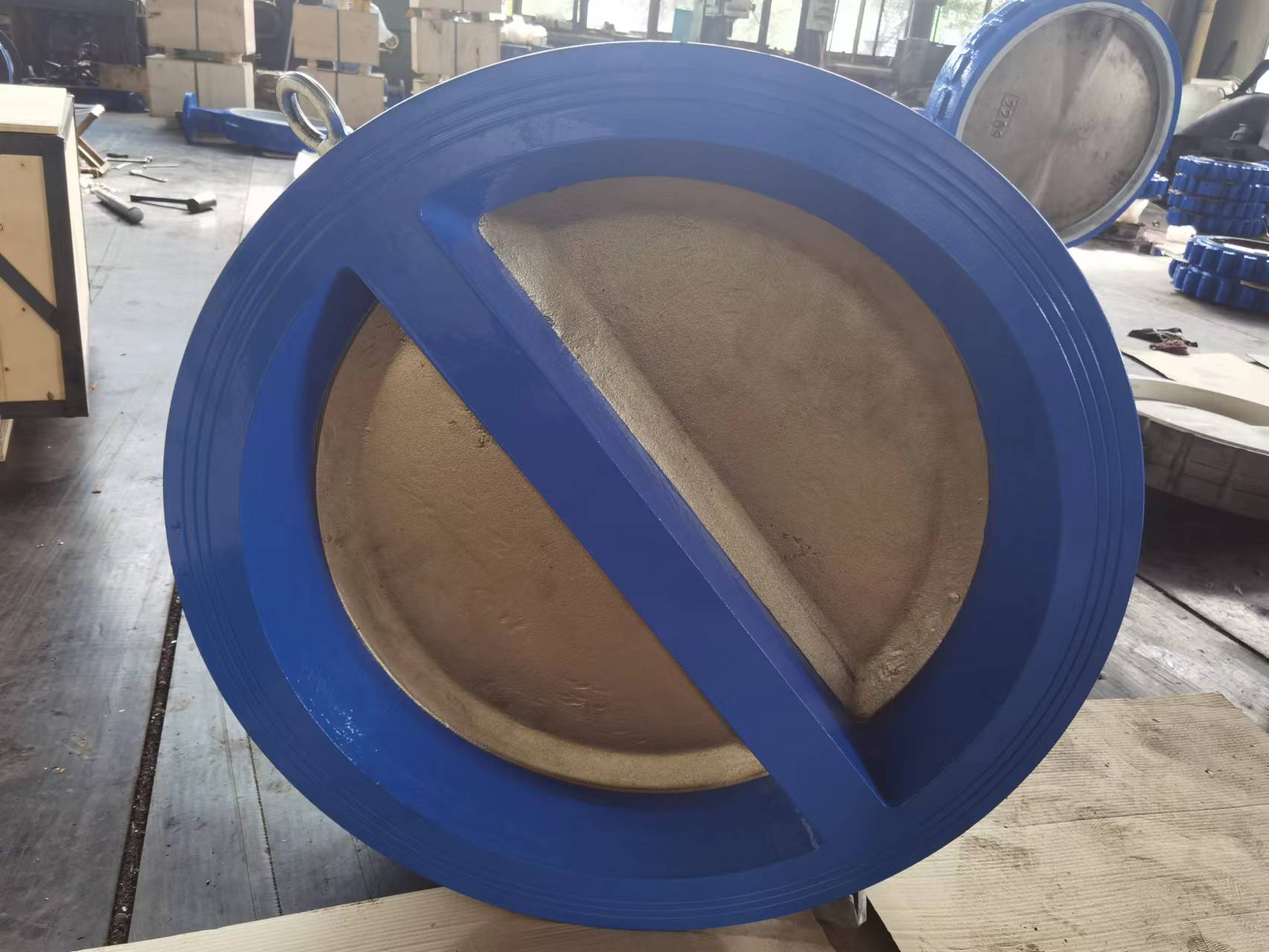 1666664391832075.jpg 30inch dual disc check valve (2).jpg