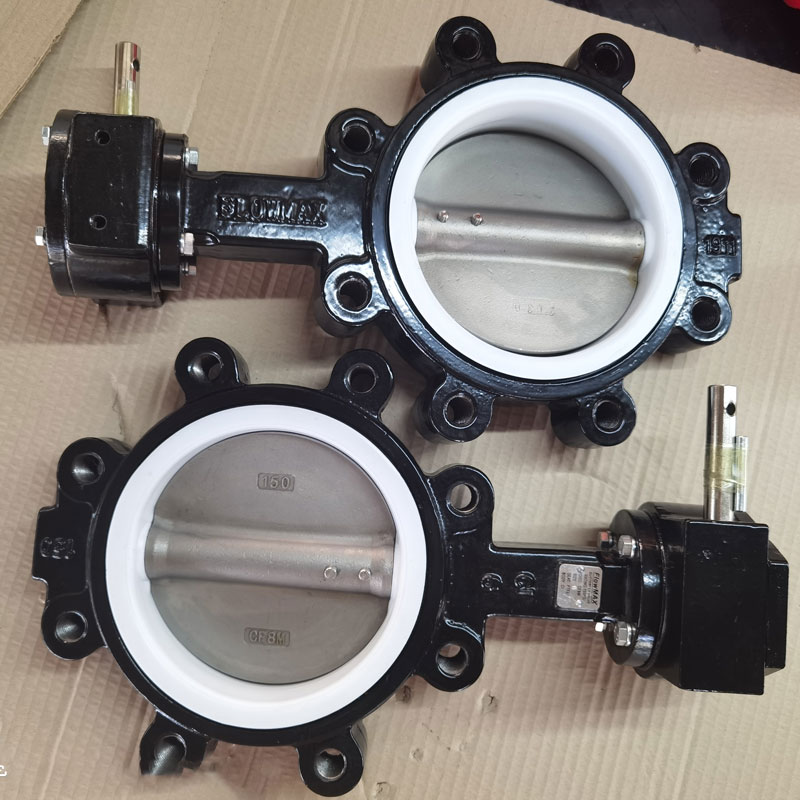 Lug Type Butterfly Valve Plastics.jpg