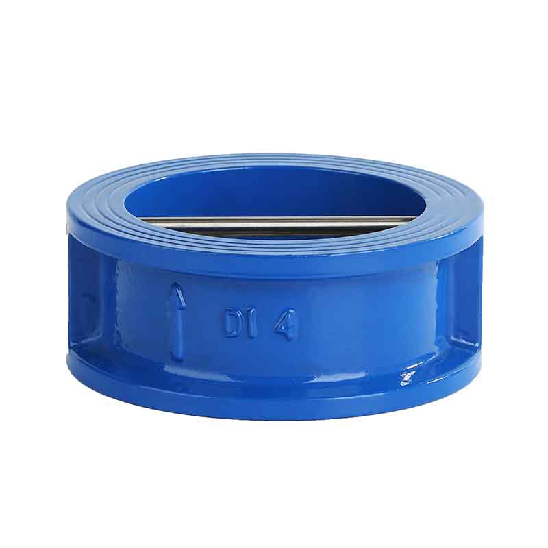Wafer Type Dual Check Valve Plastics.jpg