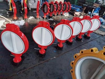 PTFE coated butterfly valve
