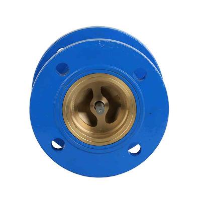 Swing Check valve Staliness Steel