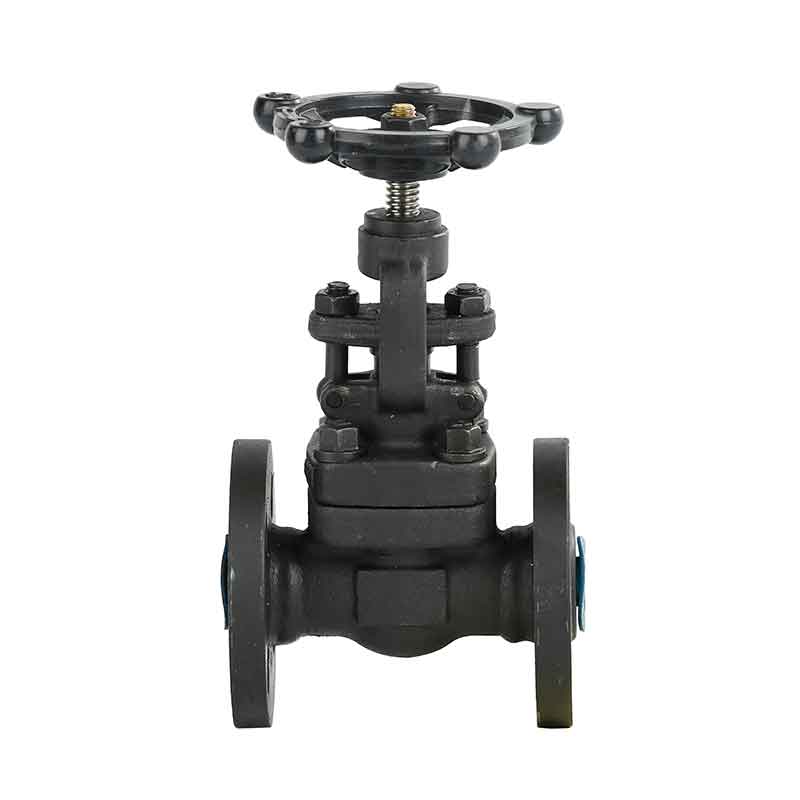 ANSI Gate Valve.jpg