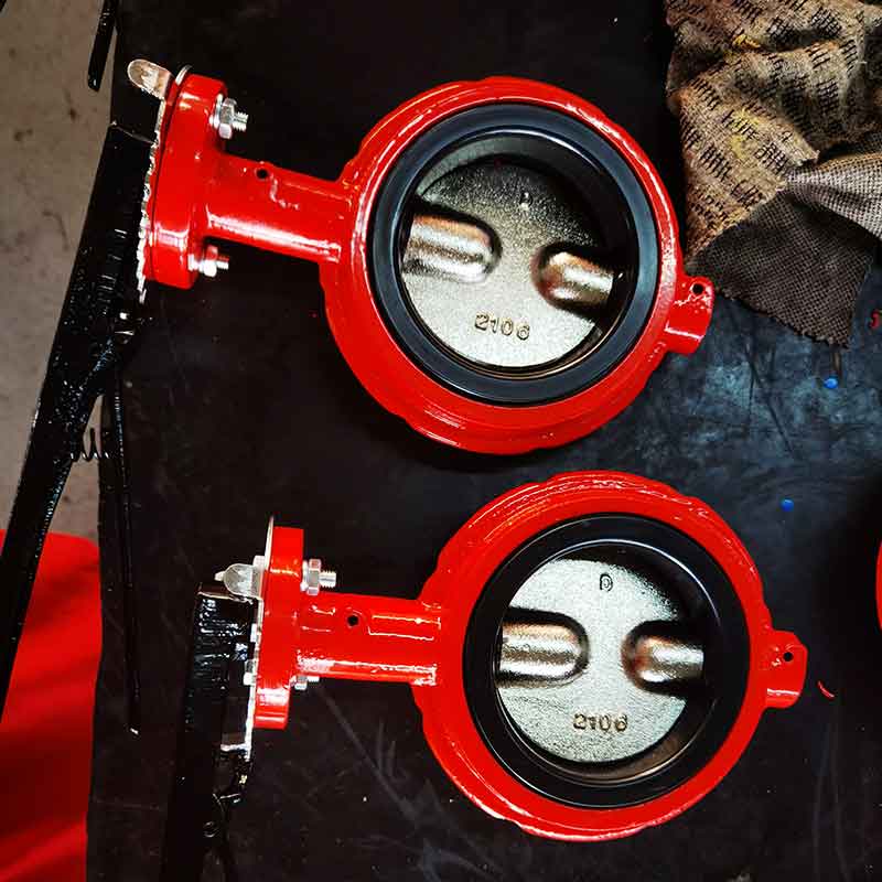 Bronze Butterfly Valve Mental.jpg