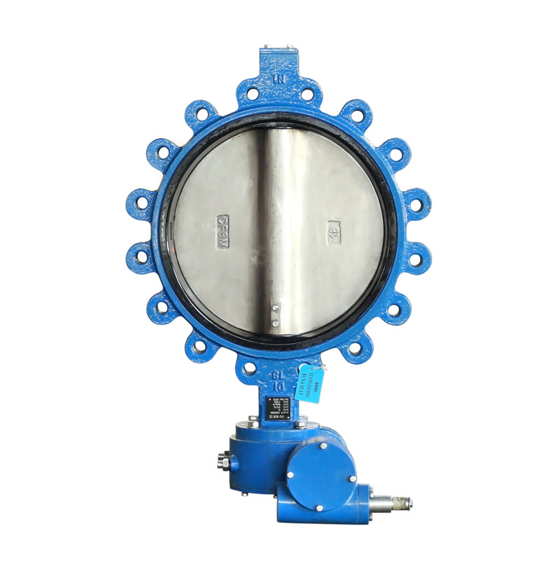 Lug Type Butterfly Valve Mental.jpg