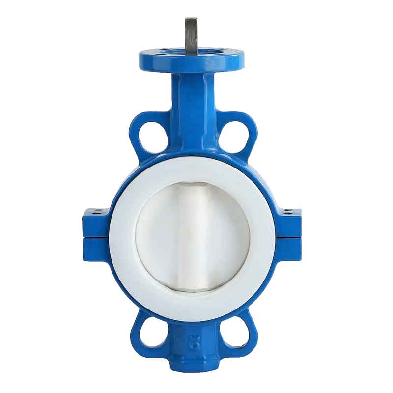 PTFE  or Rubber Coated Butterfly Valve Aluminum.jpg