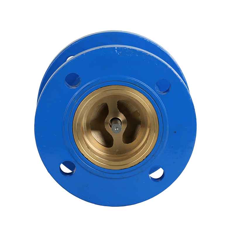 Swing Check valve Staliness Steel.jpg