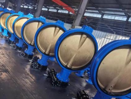 Butterfly Valve