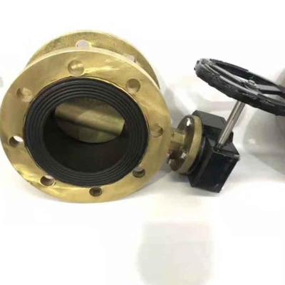 Tipo de válvula de borboleta tipo flange