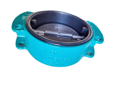 series  800 check valve