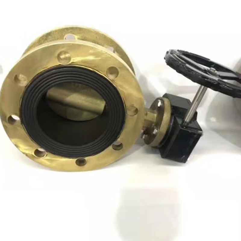 Flange Type Butterfly Valve Flanged Type.jpg