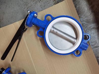 WCB BFV ASSENTO PTFE